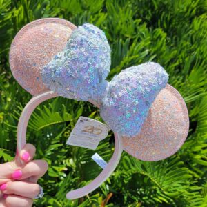 Disney Parks 20th Anniversary Tokyo Disneyland Ears!